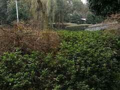-绍兴鉴湖君澜大酒店