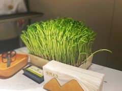 -领鲜天下·焗海鲜·花胶鸡(天目里店)