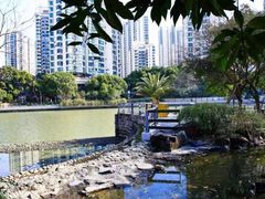 -苏州河梦清园环保主题公园