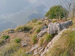 -午潮山国家森林公园