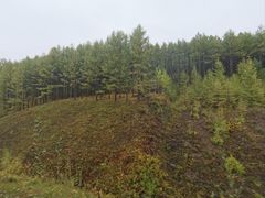 -莫尔道嘎国家森林公园
