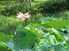 -浙江西子宾馆·瑶园咖啡厅