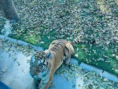 -北京野生动物园
