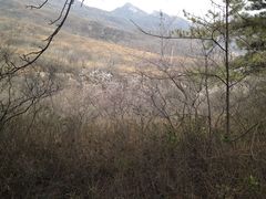 -封龙山风景区