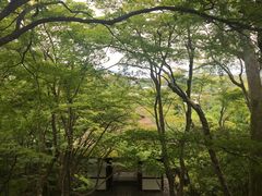 -常寂光寺