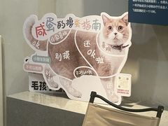 -伟伟宠物医院·CT影像中心·瑞派犬猫综合性门诊(汉口总院)