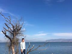 -大理无舍度假酒店