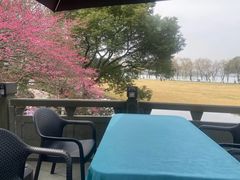 -闻莺馆(柳浪闻莺店)