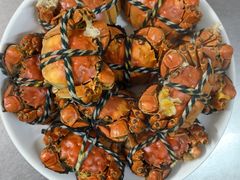 -上海老范农家乐(崇明前卫村店)