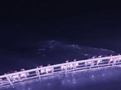 -船长9号·精致湖北菜(江滩店)