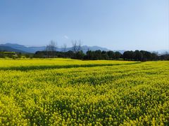 -东梓关景区村庄