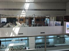 -福州长乐国际机场
