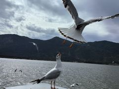 -海埂大坝