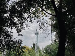 -菊花台公园