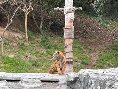 -宁波野生动物园