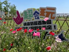 -菊园百果园