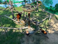 -西霞口神雕山野生动物世界