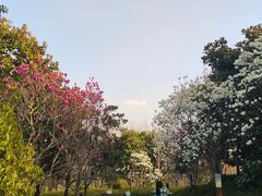 -自然谷恐龙园