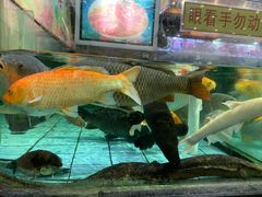 -渔民新村(番禺总店)