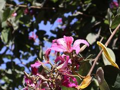 -攀枝花公园