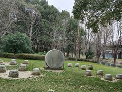 -昆山城市生态森林公园