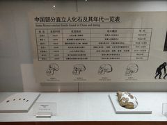 -临沂市博物馆