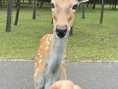 -秦皇岛野生动物园