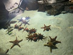 -福州罗源湾海洋世界旅游区