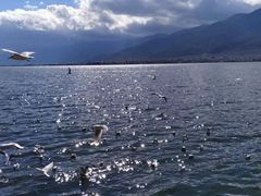 -大理洱海