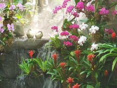 -青青世界