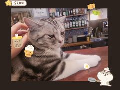 -咖法森林·咖啡  酒吧(天河店)