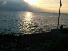 -宝安西湾红树林湿地公园