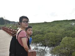 -北海金海湾红树林生态旅游区