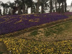 -南通洲际绿博园