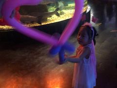 -成都浩海立方海洋公园