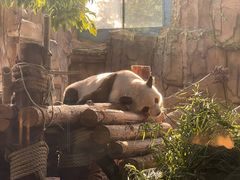 -泉州海丝野生动物世界