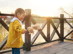 -合肥滨湖国家森林公园