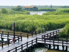 -宁波杭州湾国家湿地公园