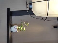 -吴越荣记·苏州菜·松鼠桂鱼(斜塘老街店)