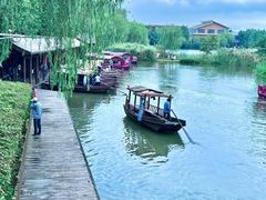 -溱湖国家湿地公园