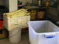 -阿桃甘蔗汁