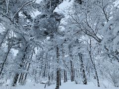 -秦岭风景区