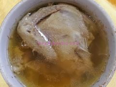 黨參黃芪燉乳鴿-横河佬炖品店(罗阳一路老店)