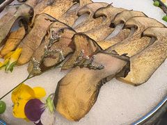 -芸山季·云南山珍菌火锅(人民广场来福士店)