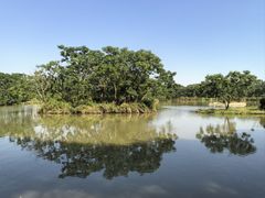 -大湾区中央湿地公园