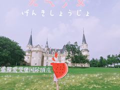 -北京张裕爱斐堡酒庄