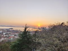 -信号山公园
