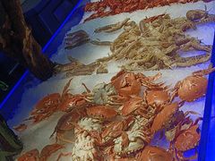 -海天牧场(银川商城店)