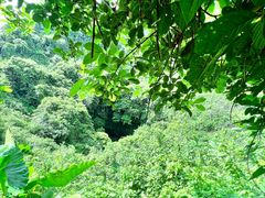 -海口火山口国家地质公园