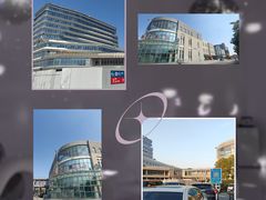 -上海市第六人民医院(临港院区)